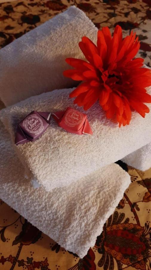 Romantico Attichino Con Terrazzo Vista Duomo !! 佛罗伦萨 外观 照片